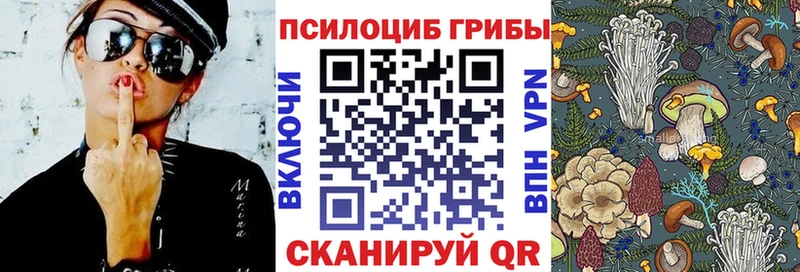 ссылка на мегу ссылки Костерёво Галлюциногенные грибы Magic Shrooms